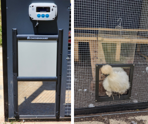 Two Types Of Chicken Access Doors To Go With Your Chicken Coop